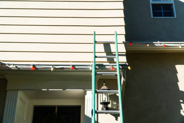 Best Vinyl Siding Installation  in Hale Center, TX